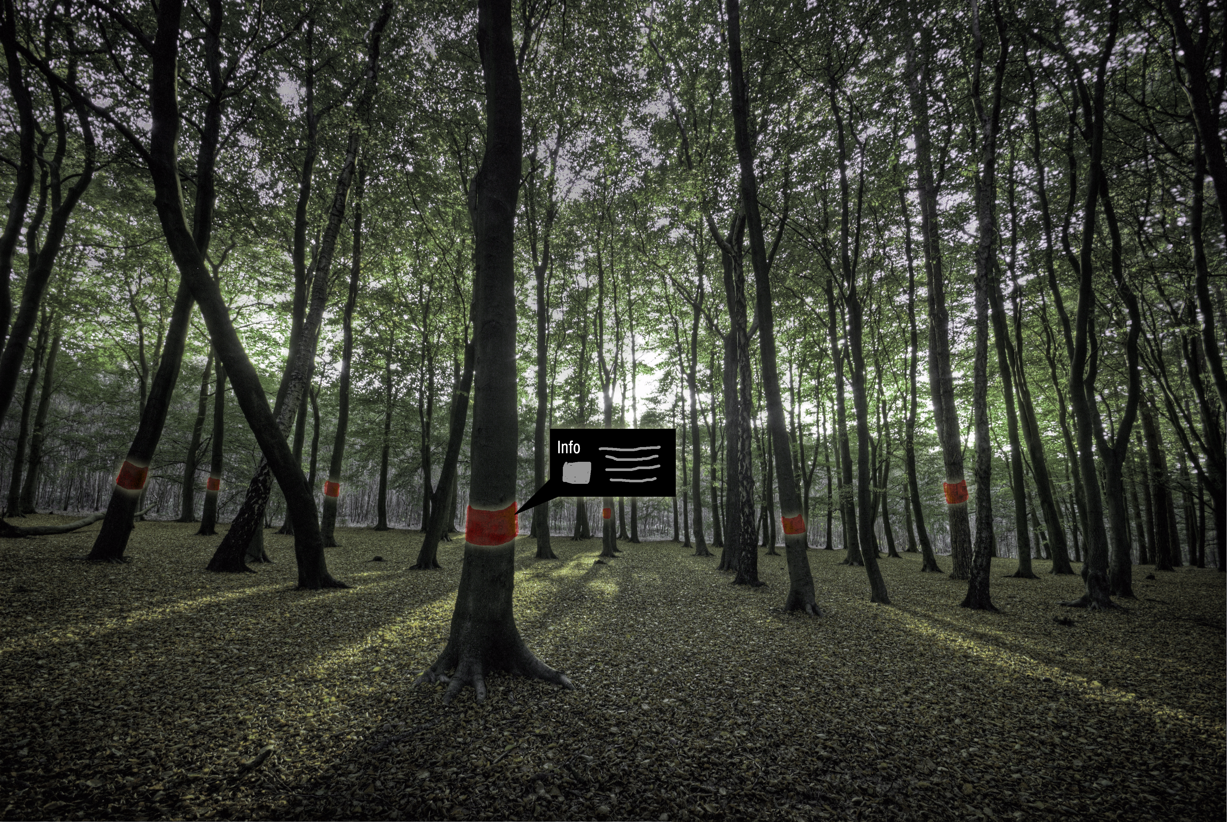 Knowledge is Natural, a workshop about DIY energy and augmented reality in natural environments