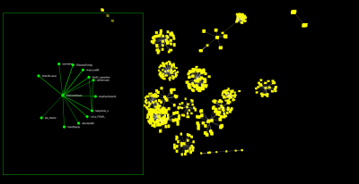 Myriads at Ars Electronica: the relational ecosystem
