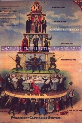 What are Intellectuals Good For?
